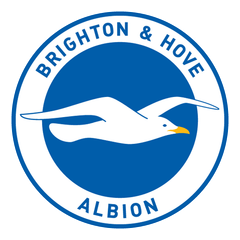 Brighton & Hove Albion logo